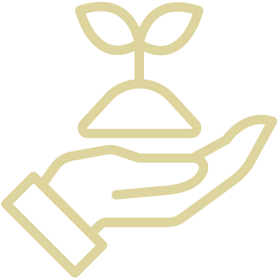 servicios de jardineria en córdoba